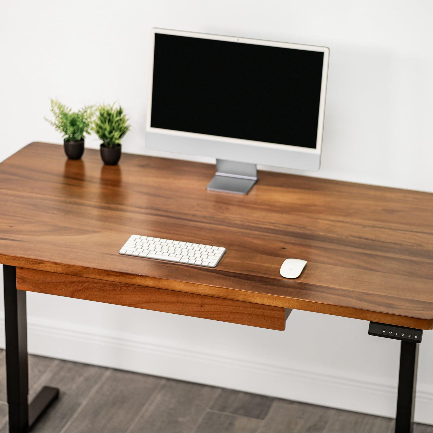 Straight Edge Walnut Standing Desk - Extra Deep Solid Wood Top, Dual Motor Adjustable Base