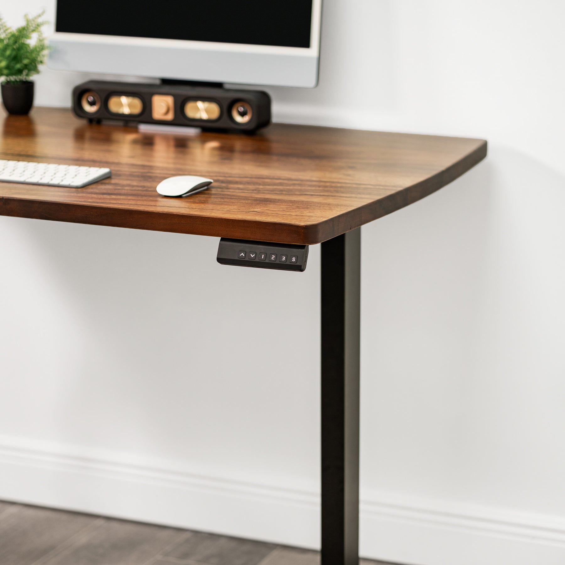 Straight Edge Walnut Standing Desk - Extra Deep Solid Wood Top, Dual Motor Adjustable Base