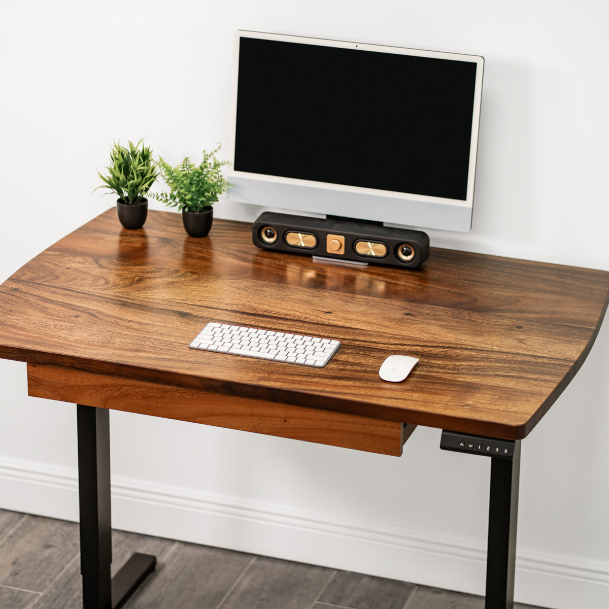 Straight Edge Walnut Standing Desk - Extra Deep Solid Wood Top, Dual Motor Adjustable Base